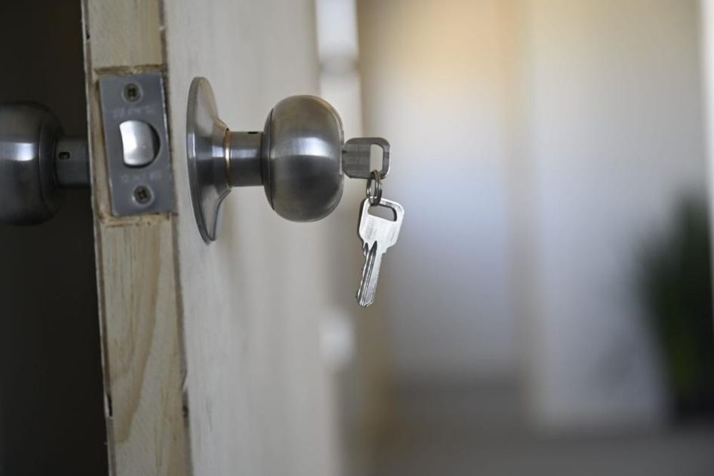 WhatsApp Image 2025-03-20 at 14.07.30 (1).jpeg