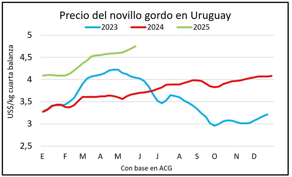 Novillos gordos con precio elevado y sostenido.