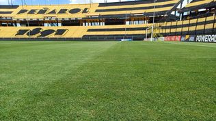 El césped del Estadio Campeón del Siglo luce como nuevo