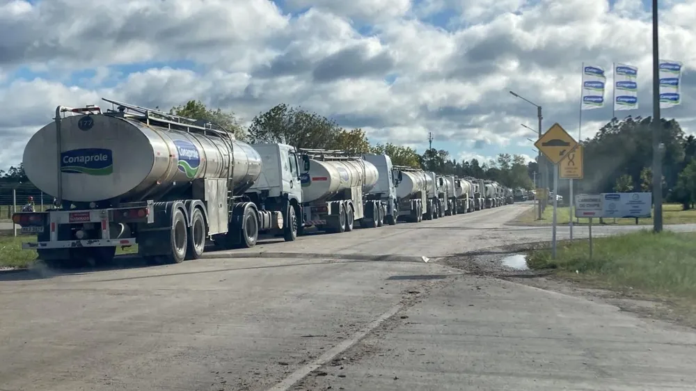 Camiones en espera esta mañana en la planta de Rodríguez.