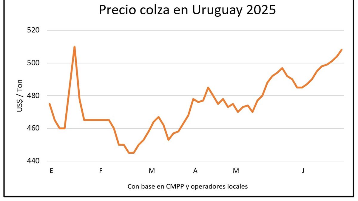 Mercado de granos sacudido por la guerra en Medio Oriente: precios de oleaginosas y del petróleo se encienden