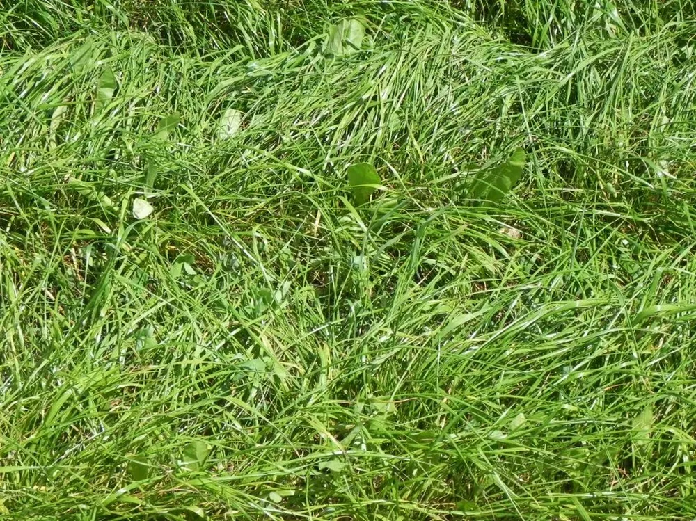 Una experiencia útil que pone el foco en las necesidades que hay en el norte del país.