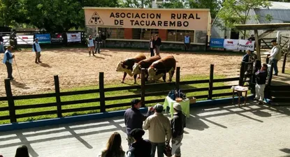 El remate se hará en la Asociación Rural de Tacuarembó.