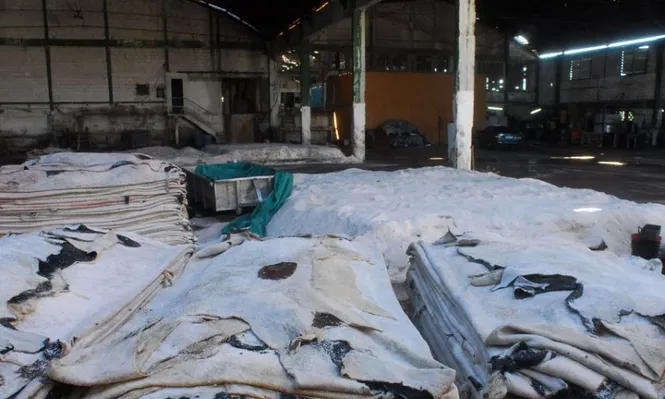 Industria del cuero. Foto Archivo.