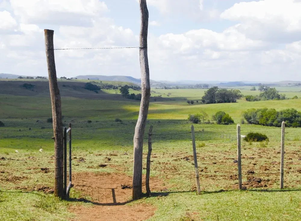 Los operadores aseguran que la norma ya está influyendo negativamente en el mercado inmobiliario rural
