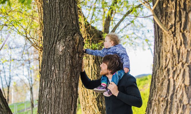 Monte de la vida Casmu: nace un bebé, nace un árbol