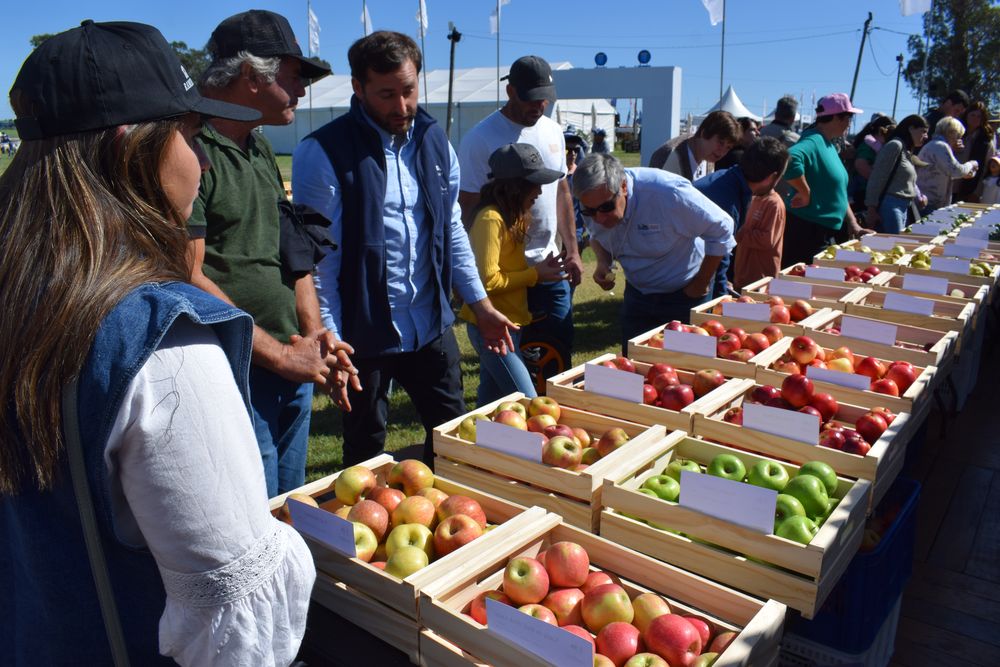 Maximiliano Dini y el resto de los anfitriones en el stand del INIA explicaron a los visitantes las caracter&iacute;sticas de cada variedad de los frutales de hoja caduca.
