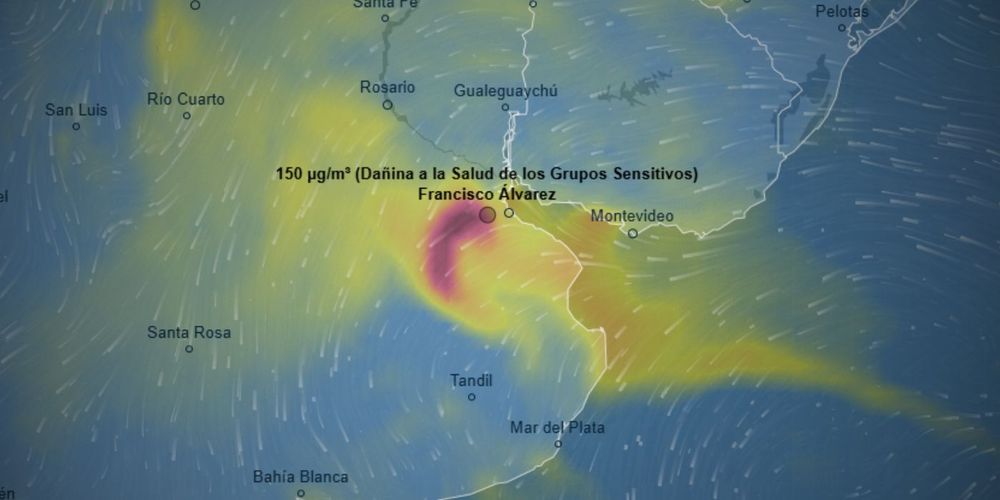 INCENDIO EN FRANCISCO ÁLVAREZ