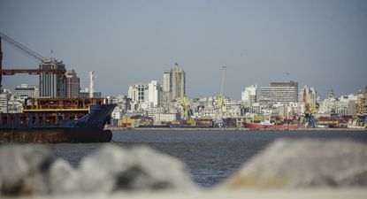 Exportaciones. Puerto de Montevideo