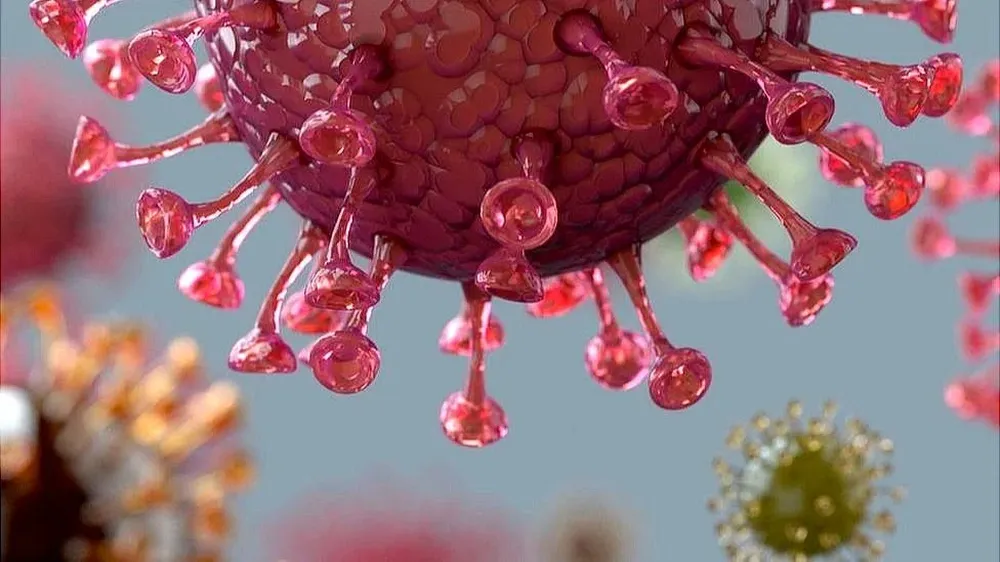 Los médicos consideran que el contagio se produjo de personas distintas