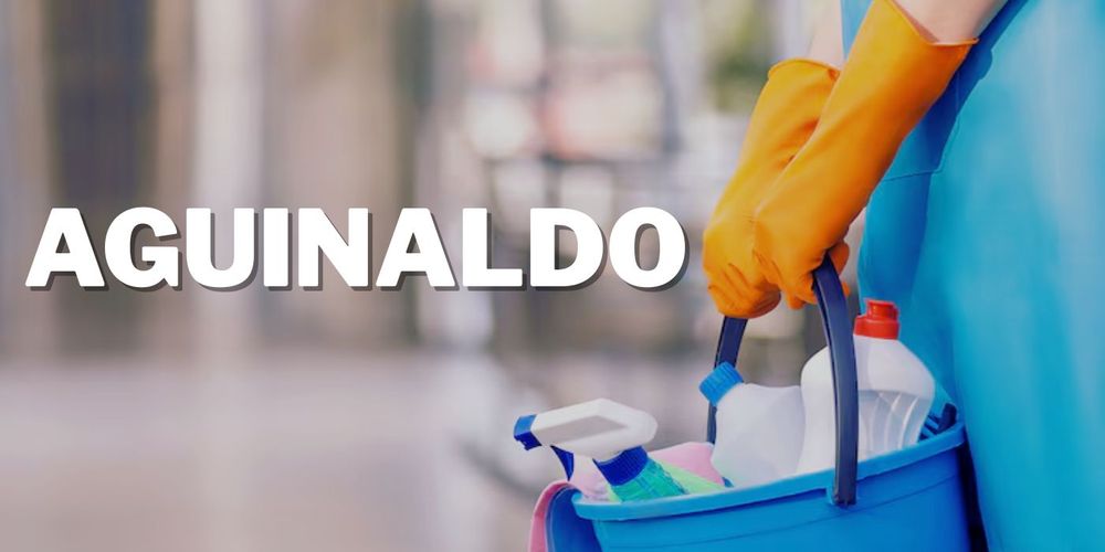 AGUINALDO DOMÉSTICAS