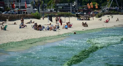 El Observador | Cianobacterias-DB_12.webp