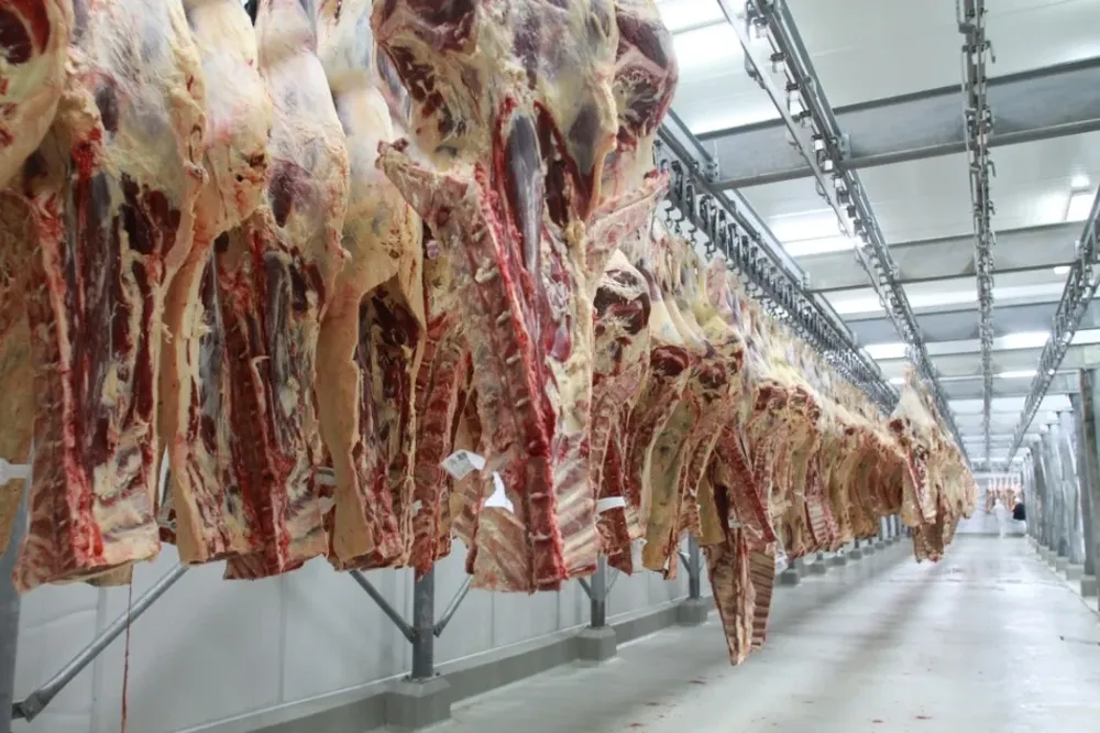 El mercado brasileño de haciendas opera con precios superiores a Uruguay y Paraguay