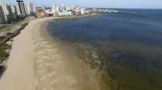 Aumentó casi 28% el ingreso de turistas argentinos al país en 2017