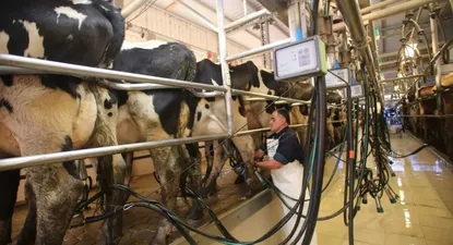 El sector agropecuario comparte la sugerencia del gobierno y propone adelantar alza salarial.