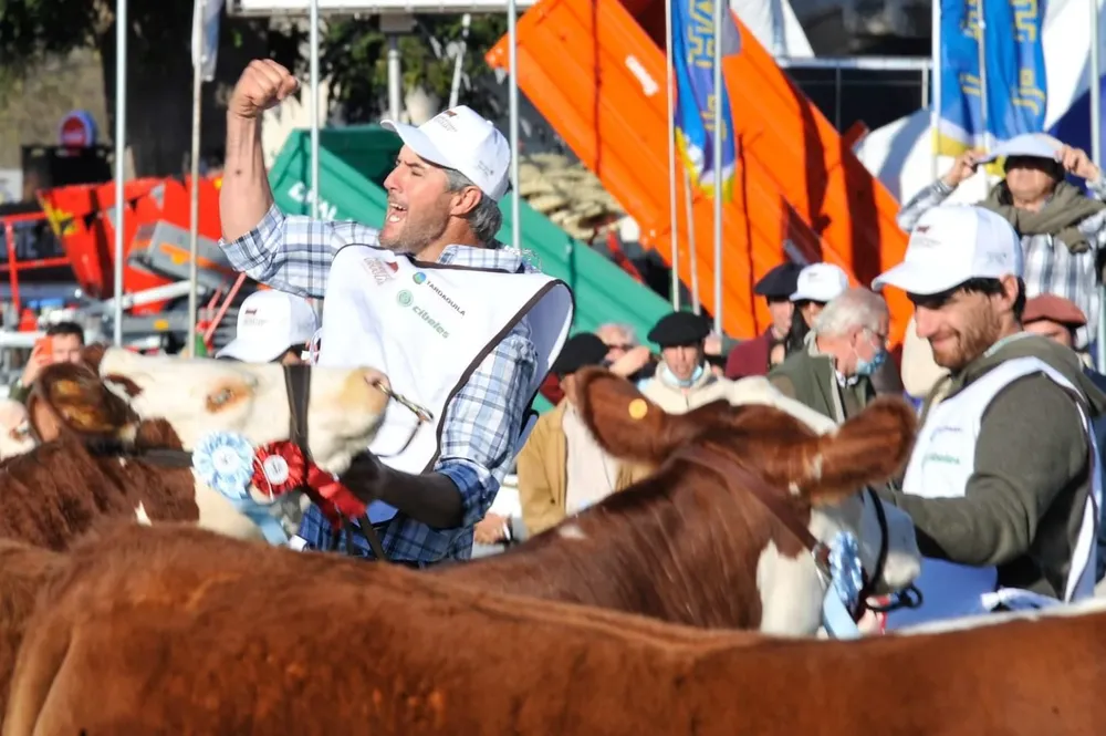 Ganadera Inquieta ganó el premio por la Gran Campeona Polled Hereford.