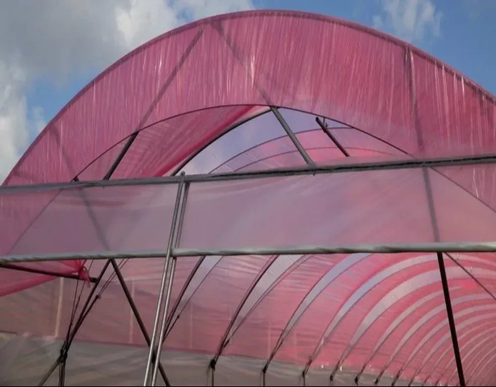 Las nuevas estructuras.