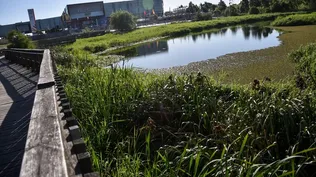 Promotores pidieron a Orsi autorizar construcciones más altas en la Costa de Oro, La Paz y Las Piedras