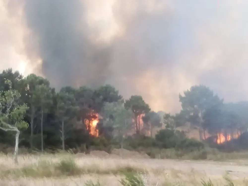 Incendio en Neptunia