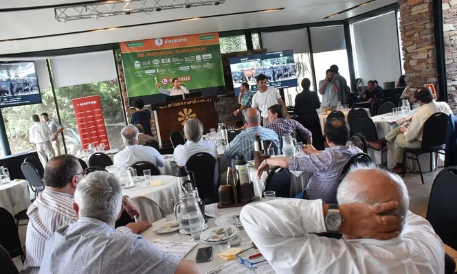 Buena dispersión de Plaza Rural,  que operó con un “mercado nuevo”