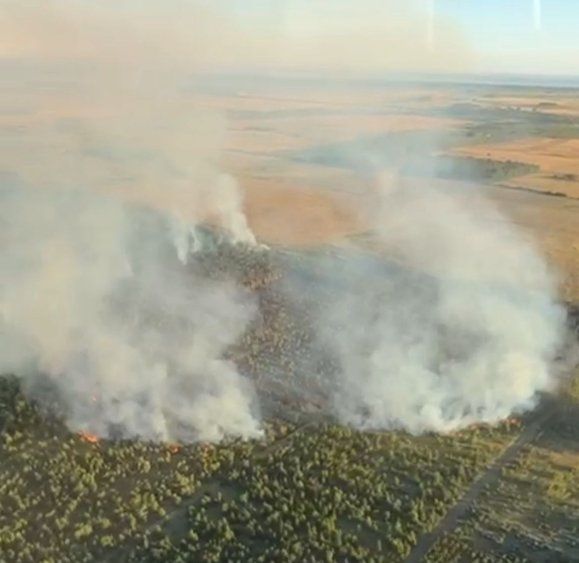 Incendio en Canelones