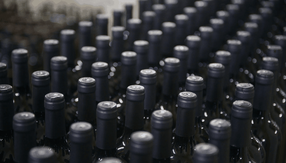 vinos-botellas-sagyp-2