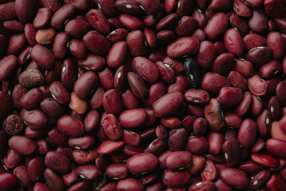 El frijol negro es uno de los alimentos que más y mejor proveen proteína vegetal. Pexels