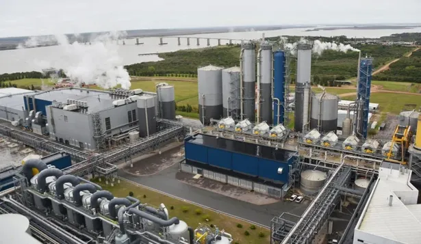 Empresas quieren subirse al tren de UPM