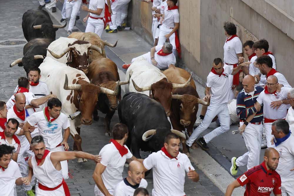 Quinto encierro de San Fermín: los toros de Jandilla protagonizan un veloz quinto encierro de los Sanfermines.