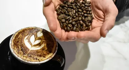 El Observador | _CDS3803.webp