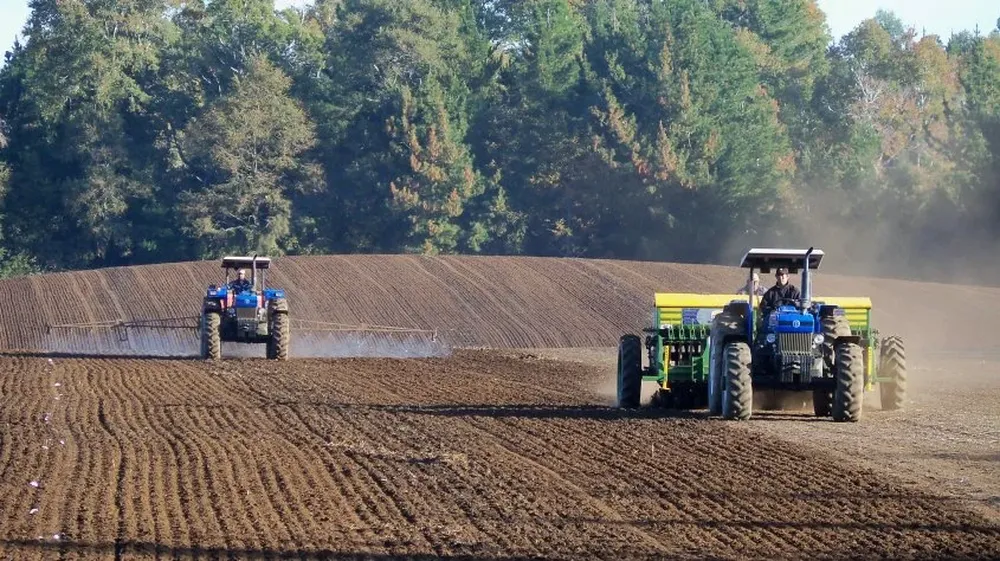 Agricultura: arrancó la instalación de maíz y se proyecta la de soja y girasol.