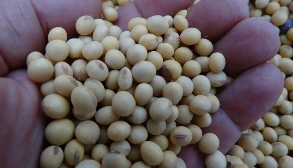 La expansión agrícola del país está asociada a la siembra directa y el glifosato.