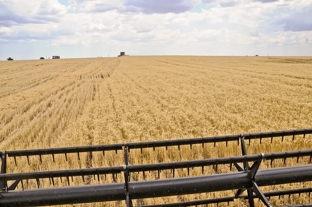 La valorización de la tierra para uso productivo es una realidad global