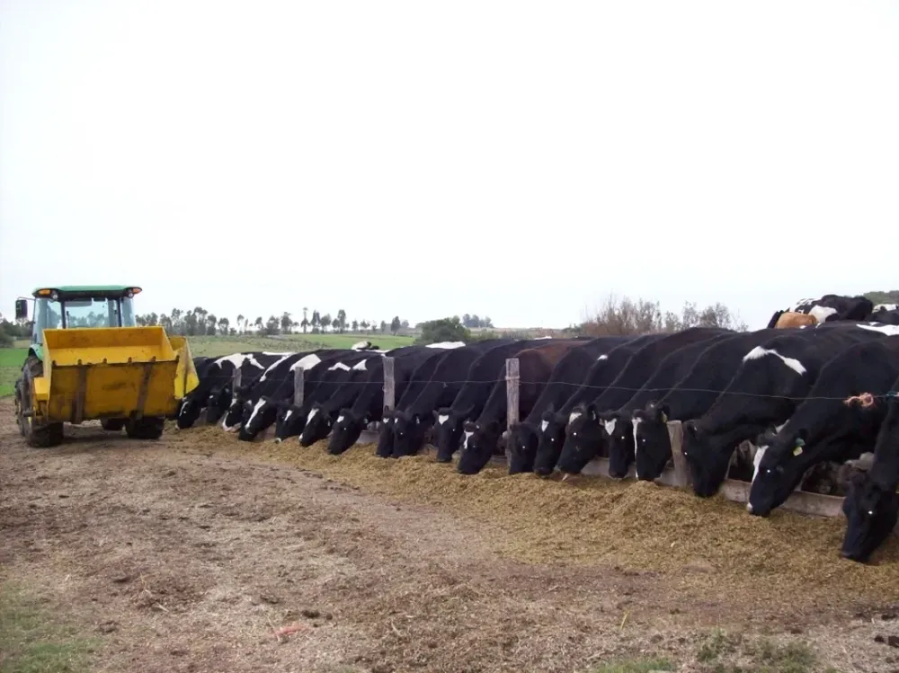 La lechería proyectará su futuro analizando los factores que componen la rentabilidad
