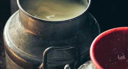 Primavera: ya en agosto se nota una mejoría en la remisión de leche que, como siempre sucede, se acentúa en los meses siguientes.