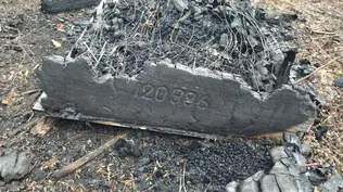Colmena destruida en un incendio de campo.