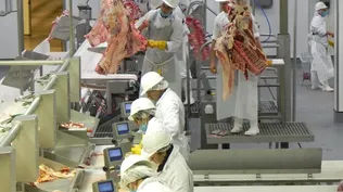 La faena descendió