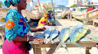 Pesca en pequeña escala, una actividad de alta relevancia, también en Uruguay con base en lo que el trabajo científico consideró.
