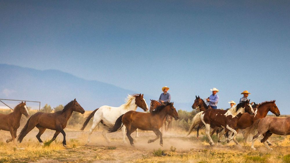 Para experimentar la vida en un entorno vaquero no hace falta viajar a Estados Unidos.