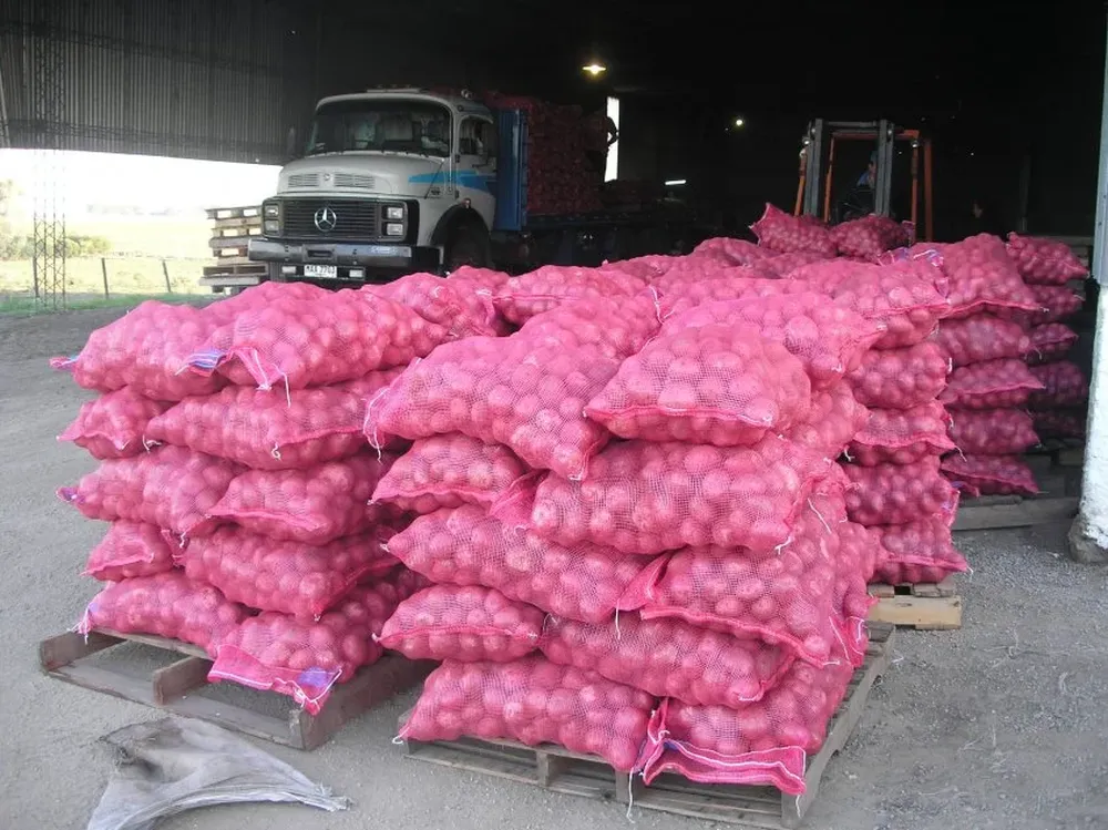 La papa es uno de los productos de estación que se aconseja consumir.