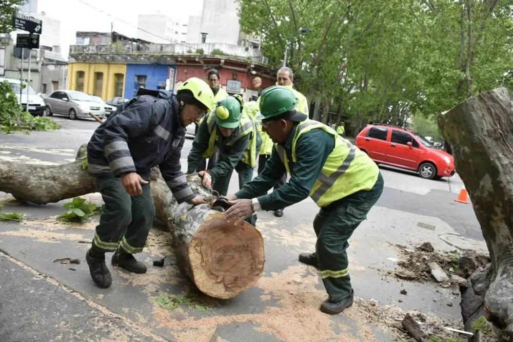 Rivera y Brito del Pino.