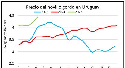 Mercado ganadero, Blasina y Asociados.