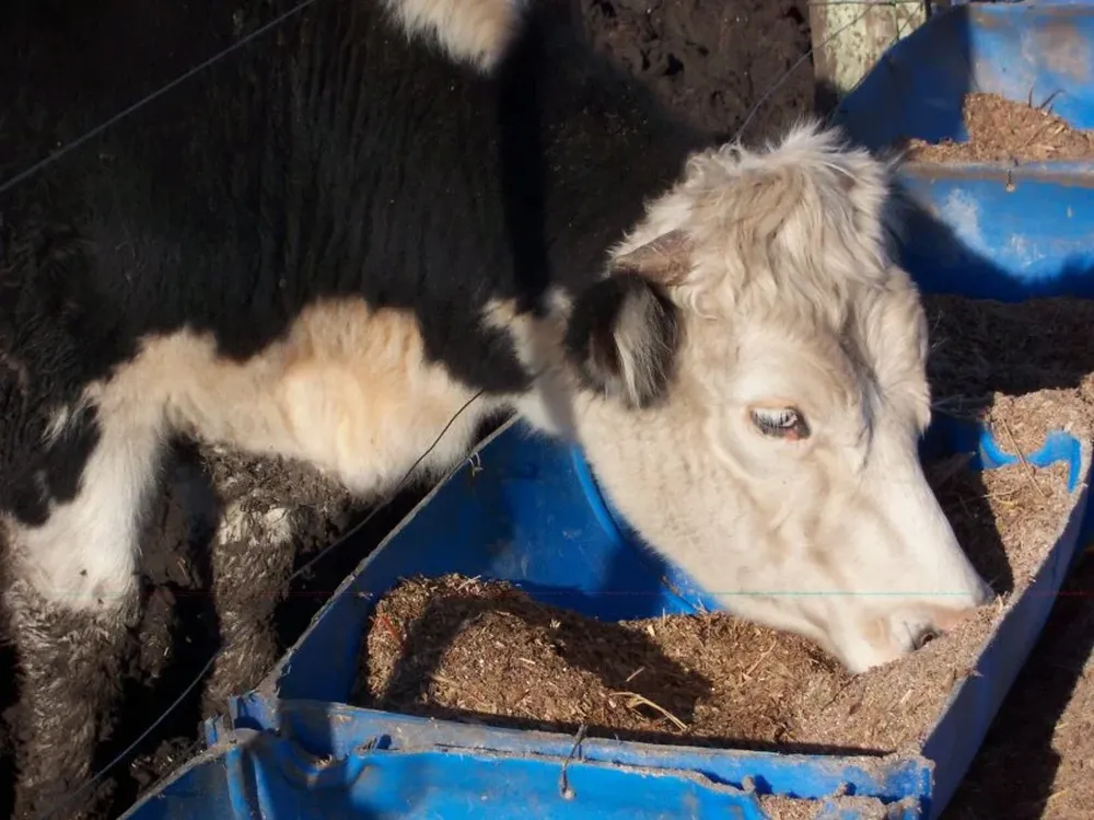 Si bien ha llovido, la asistencia sigue siendo necesaria.
