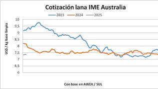 Mercado lanero, Blasina y Asociados.