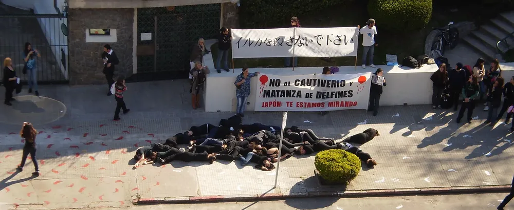El delfín humano estuvo formado por unas 20 personas vestidas de negro, y ocupó cerca de ocho metros de la vereda sobre la embajada de Japón en Montevideo