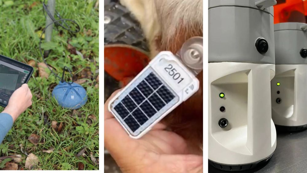 Movida gerencial (1)