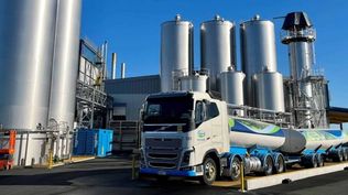 Lácteos: precios a la baja, aunque en niveles poco notorios.