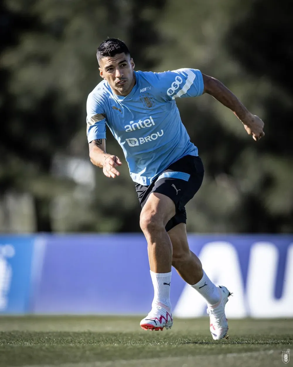 Luis Suárez en la práctica de Uruguay