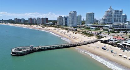 Qué está cambiando en el principal balneario del país, según el anuario Punta del Este Internacional 2026