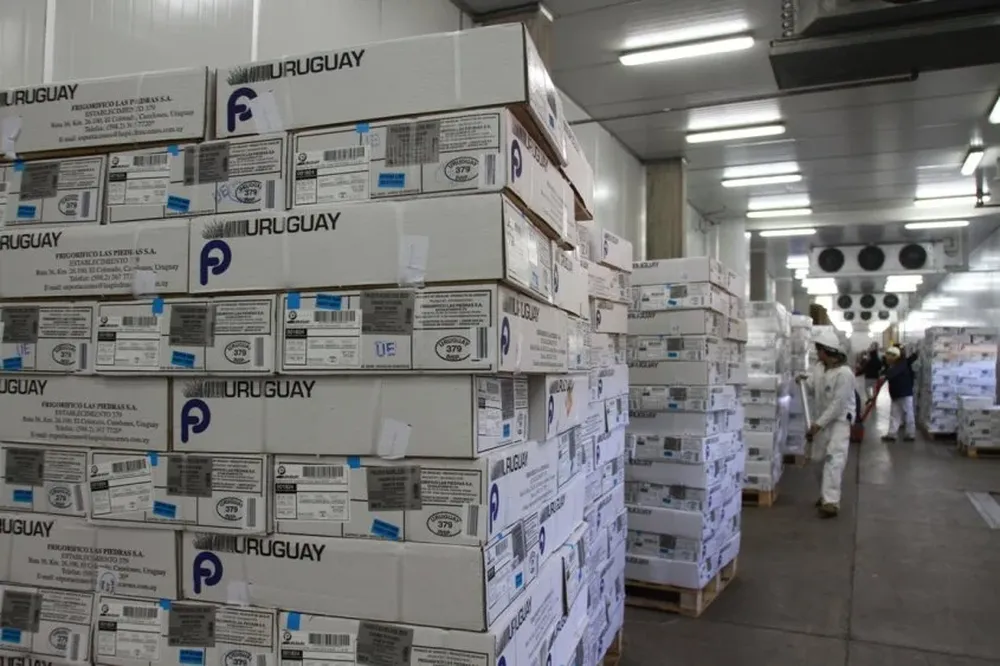 Cajas de c arnes con cortes seleccionados entre los productos para la exportación